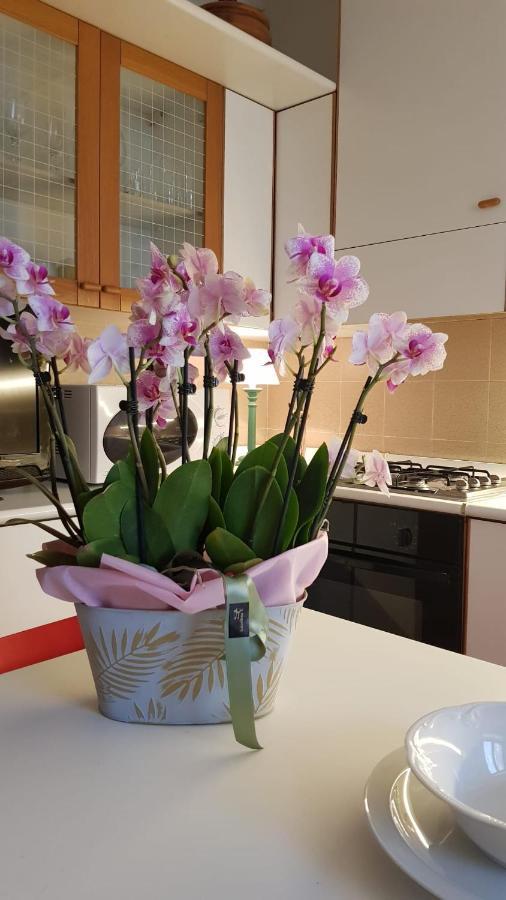 פאנזאנו Ginevra Casa Vacanze מראה חיצוני תמונה