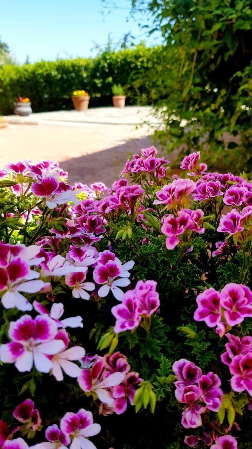 פאנזאנו Ginevra Casa Vacanze מראה חיצוני תמונה